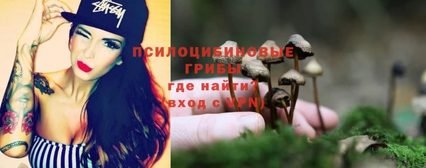 mix Армянск