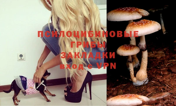 гидропоника Аркадак