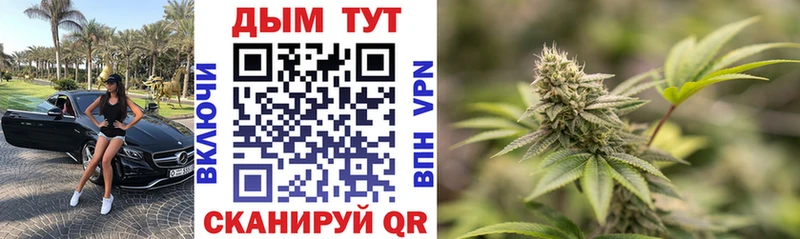 как найти   Протвино  Шишки марихуана сатива 